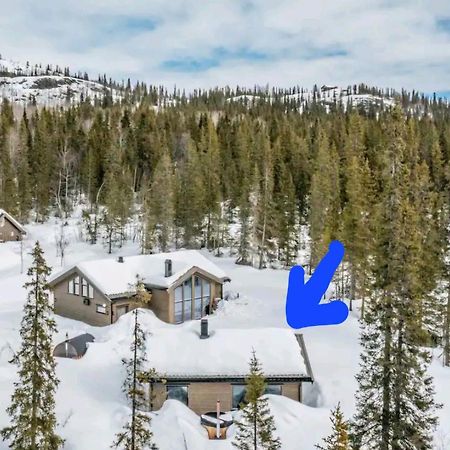 Cozy Mountain Cottage With Beautiful Views & Sauna Beitostolen 외부 사진