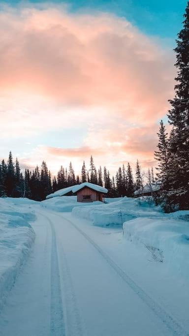 Cozy Mountain Cottage With Beautiful Views & Sauna Beitostolen 외부 사진