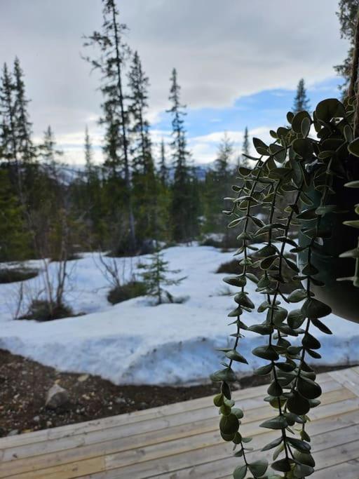 Cozy Mountain Cottage With Beautiful Views & Sauna Beitostolen 외부 사진
